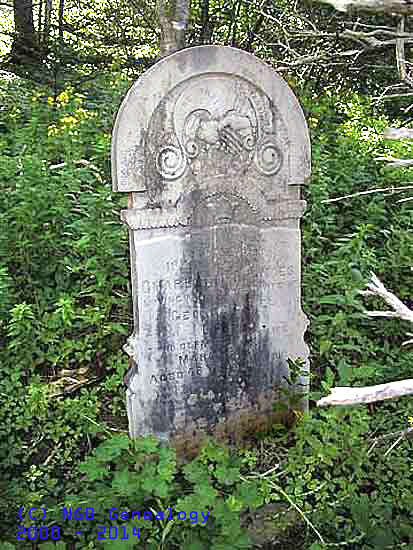 Charlotte Frances Darby