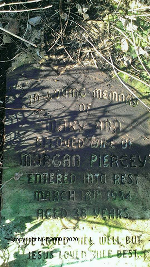 Mary Ann Piercey