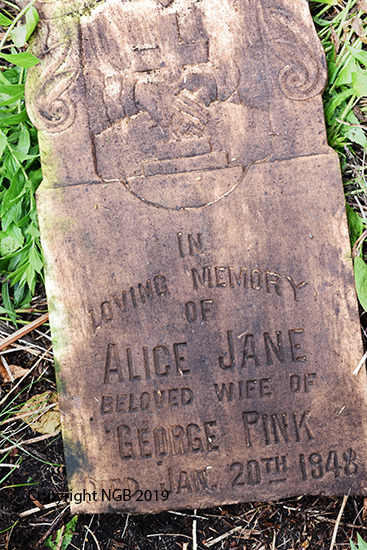 Alice Jane Pink