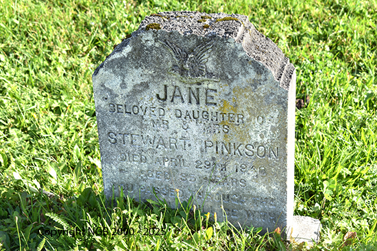 Jane Pinksen