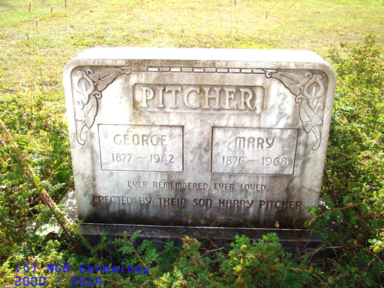 George and Mary Pitcher