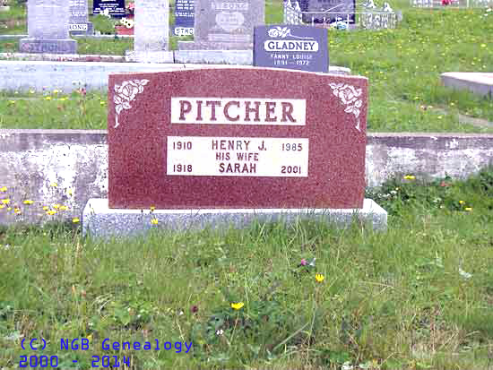 Henry J. and Sarah Pitcher