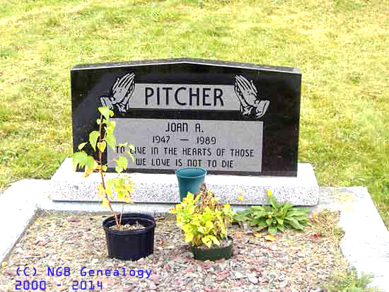 Joan A. Pitcher