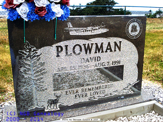 David Plowman