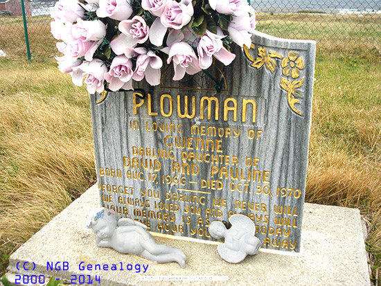 Gwenne Plowman