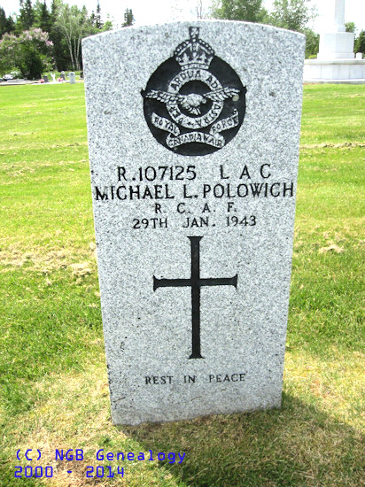Michael L. Polowich
