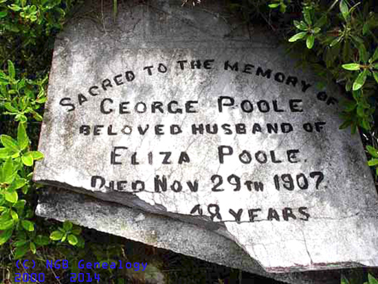 George Poole