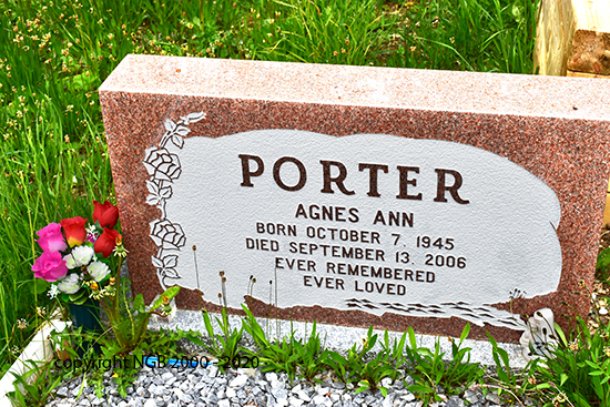 Agnes Ann Potter