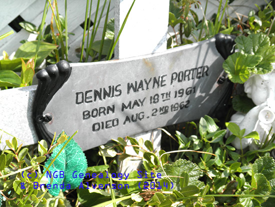 Dennis Wayne Porter