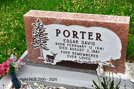 Edgar David Potter