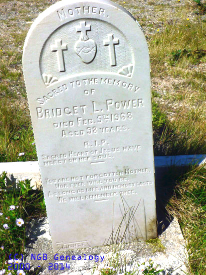 Bridget L. Power