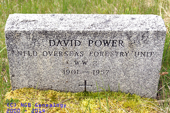David Power