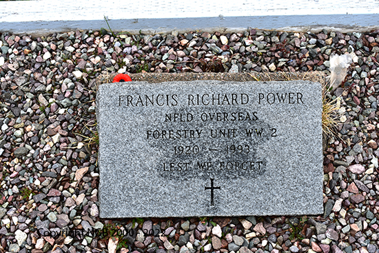 Francis Richard Power