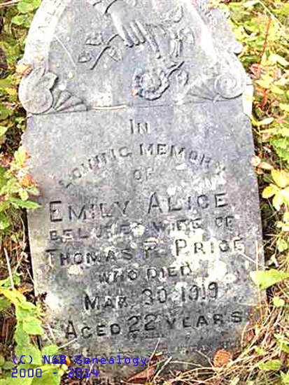 Emily Alice Price