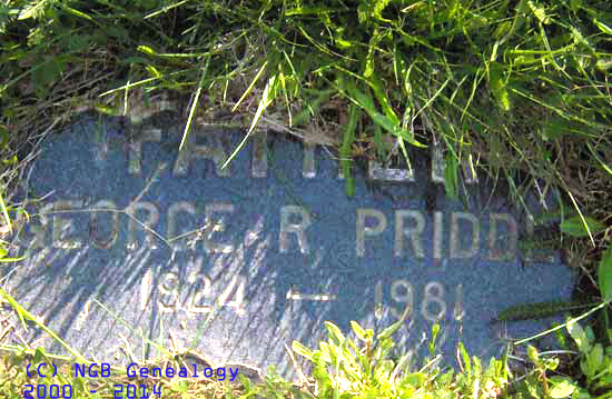 George Priddle footplate