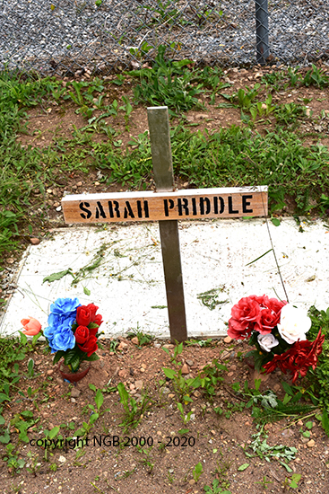 Sarah Priddle