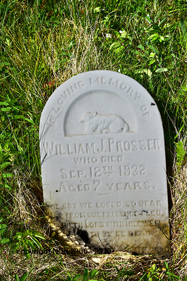 William J. Prosser