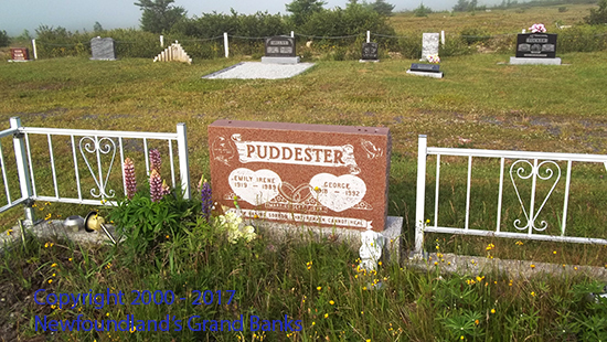 Emiiy Irene & George Puddester