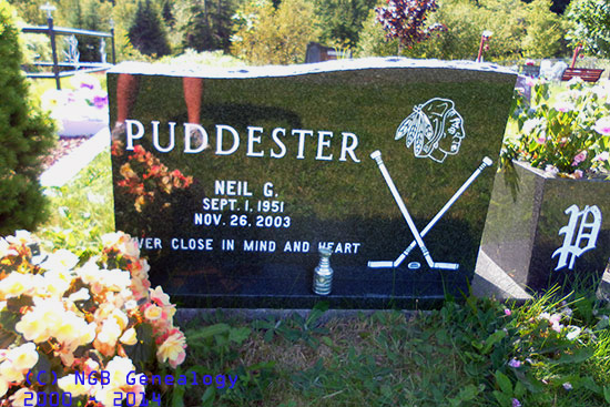 Neil G. Puddester