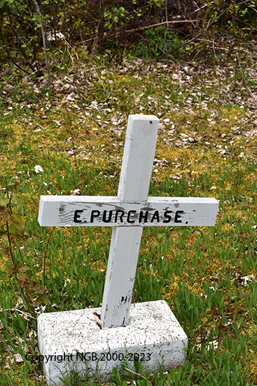 A. Purchase Sr, A Purchase Jr. & C. Purchase