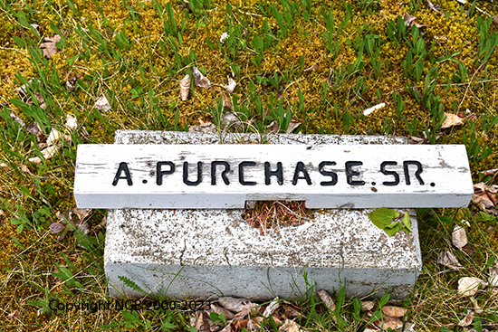 A. Purchase Sr, A Purchase Jr. & C. Purchase