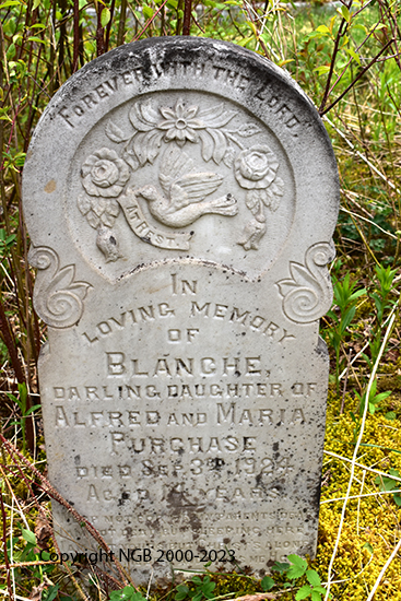 Blanche Purchase