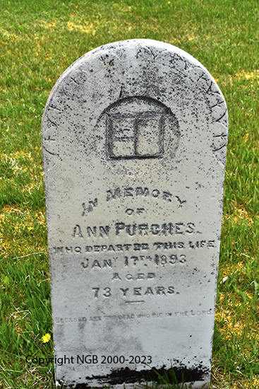 Ann Purches