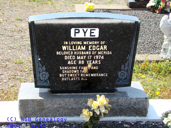 William Edgar Pye