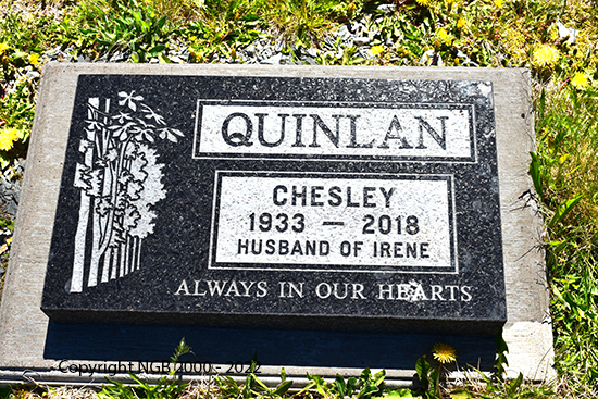 Chesley Quinlan