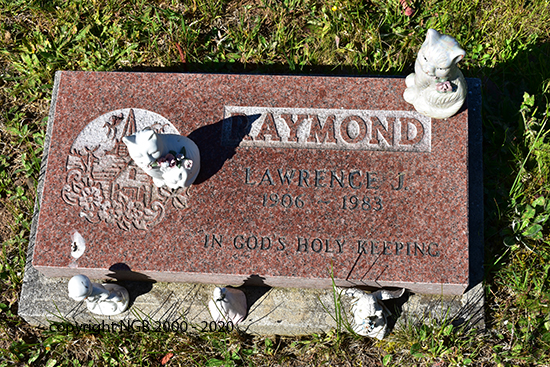 Lawrence J. Raymond