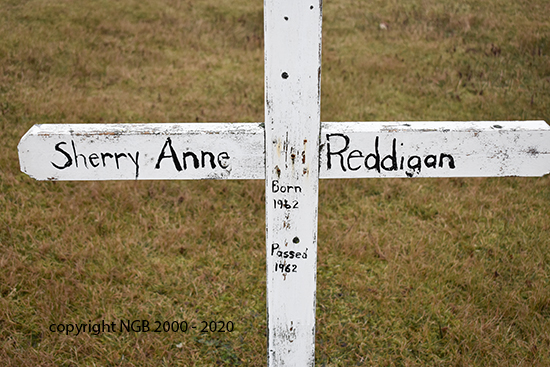 Sherry Anne Reddigan