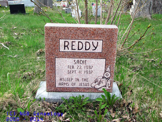 Sadie Reddy