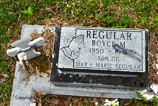 Boyce M. Regulae