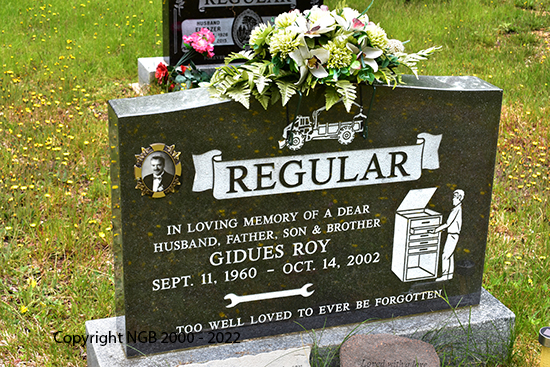 Gidues Roy Regular