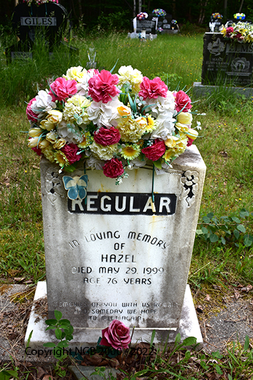 Hazel Regular