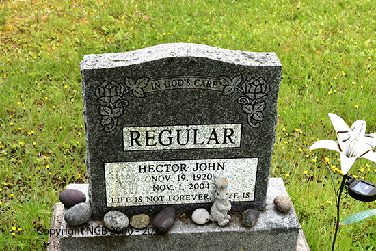 Hector John Regular