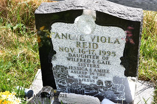 Angie Viola Reid