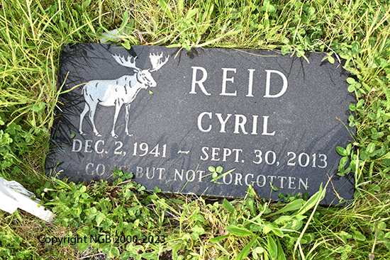 Baby DAvid Steven Reid