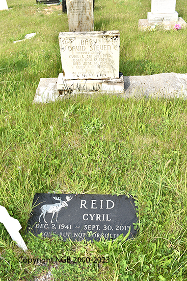 Baby DAvid Steven Reid