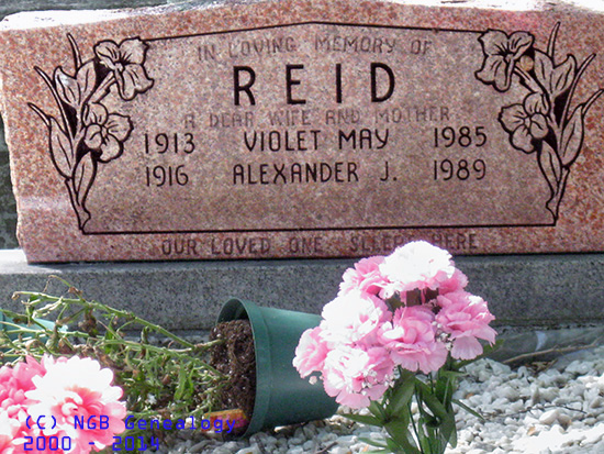 Violet May & Alexander J. Reid