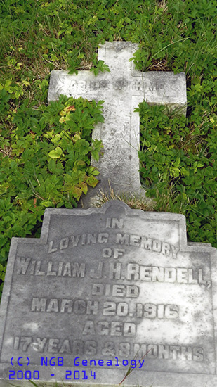William J. H. Rendell