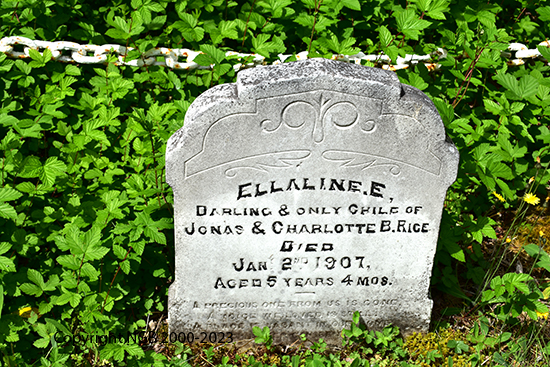 Ellaline E. Rice