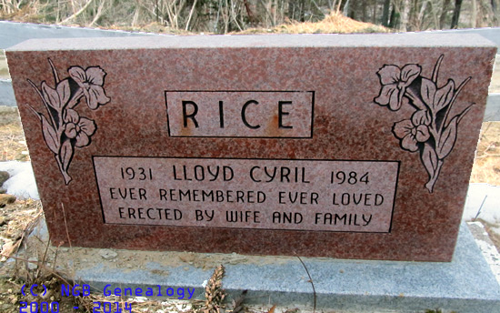 Lloyd Rice