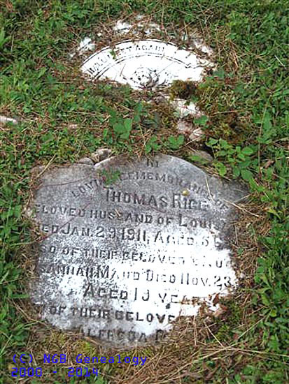 Thomas, ??sannah & Alfreda Rice