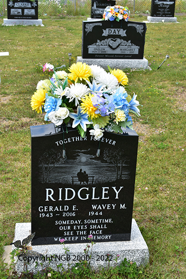 Gerald E. Ridgley