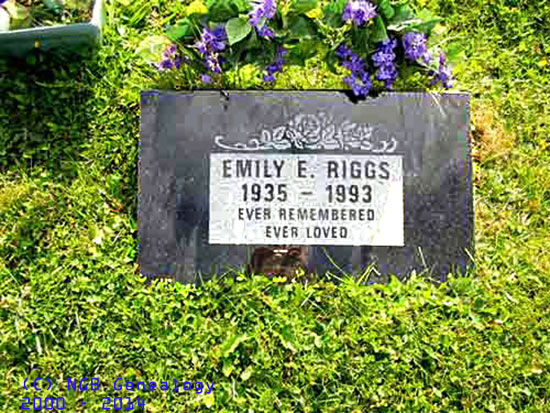 Emily E. Riggs