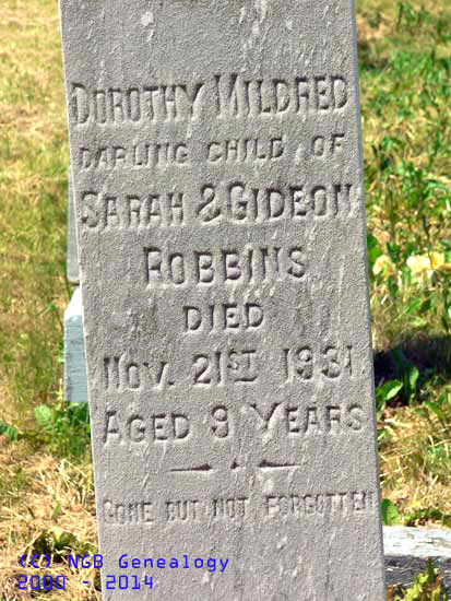 Dorothy Mildred Robbins
