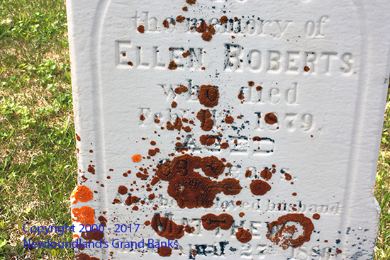 Ellen & Matthew Roberts