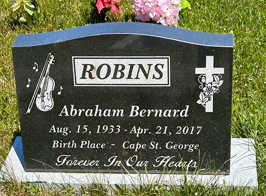 Abraham Bernard Robins