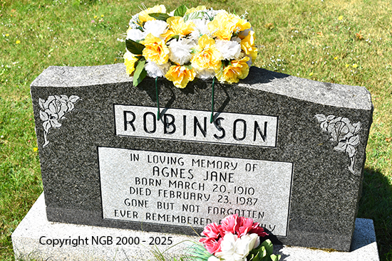 Agnes Jane Robinson